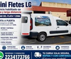 FLETES MDP LG