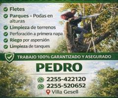 Servicio de Poda