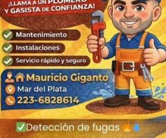 Plomero mauricio giganto