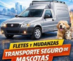 transportes braian