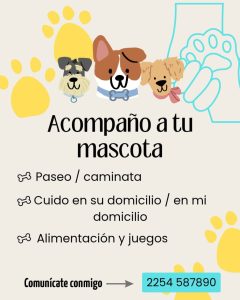 acompaño a tu mascota